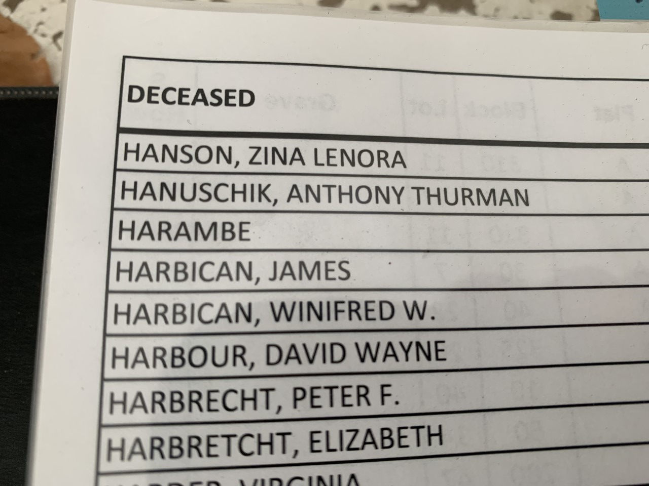 Harambe secondary